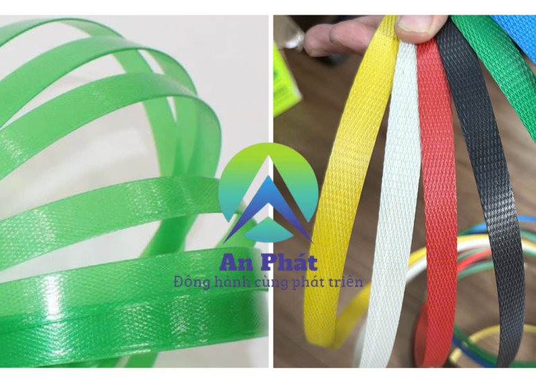 Dây đai PET vs Dây đai PP : Đâu là lựa chọn tối ưu cho doanh nghiệp?