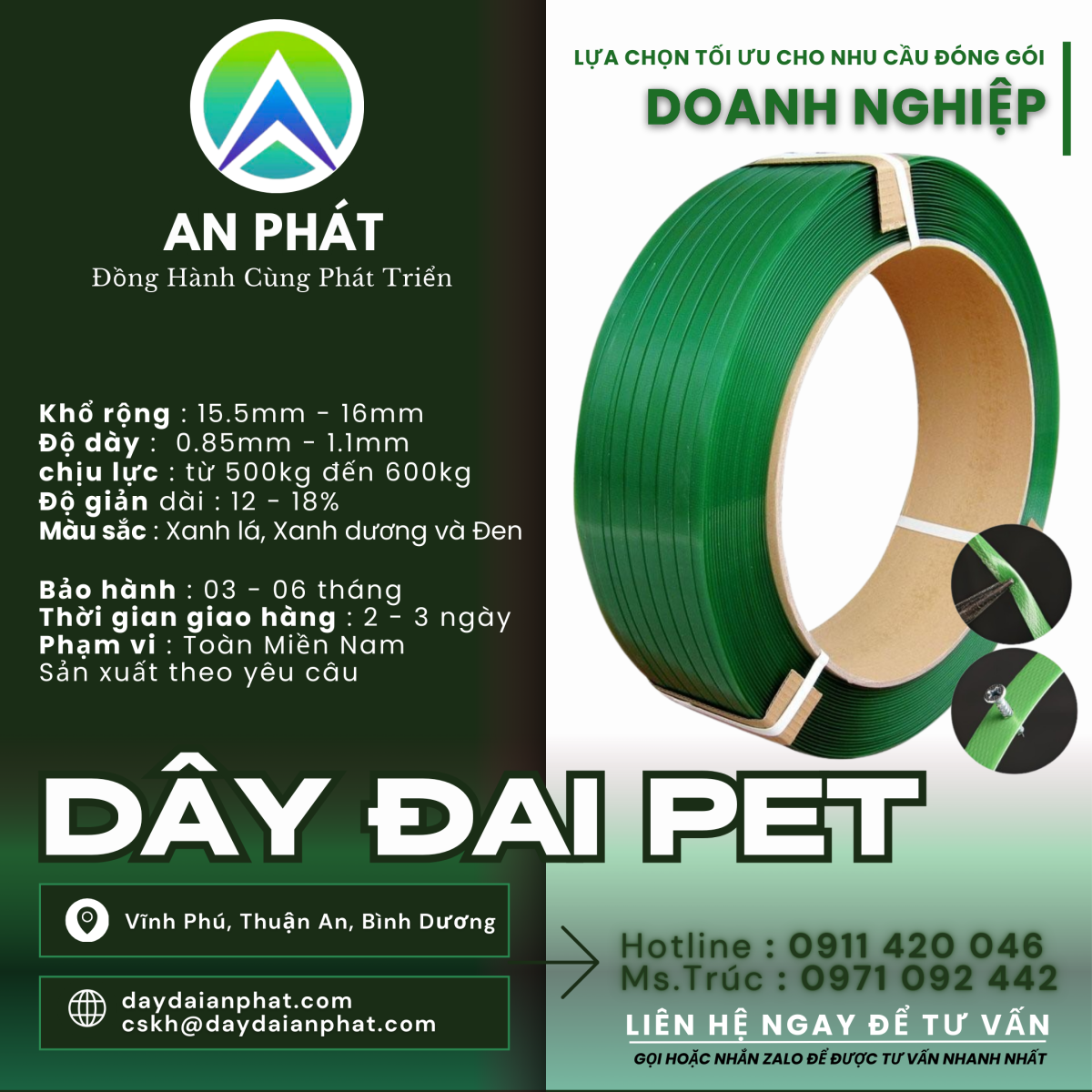 DÂY ĐAI PET